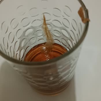 Lipton Ice Tea'den Beklenmedik Yabancı Madde Şoku!