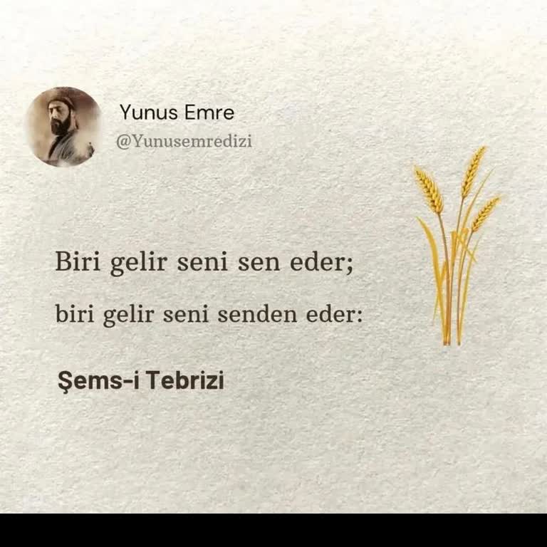 Life Net Ürününün Sorunlu Tasarımı: Sürekli Damlama Problemi