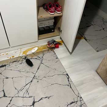 Caldini Yangın Spreyi Şişesi Patlamış