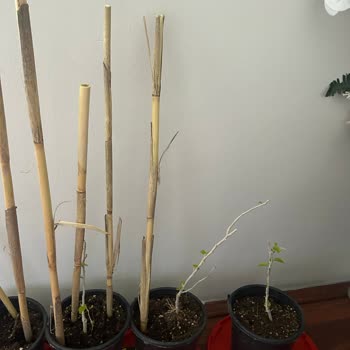 Yanıltıcı Ürün Boyutu Ve İletişimsizlik