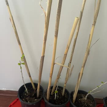 Yanıltıcı Ürün Boyutu Ve İletişimsizlik