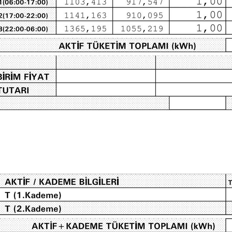 Yüksek Fatura Mağduriyeti: Acil Çözüm Bekliyorum