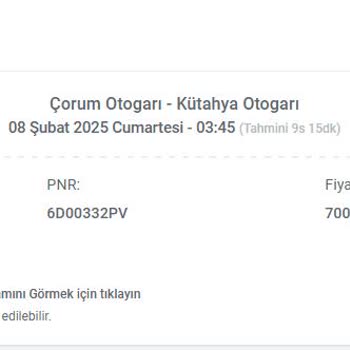 Giresun Seyahat İle Yaşanan Bilet Ve İletişim Sorunu