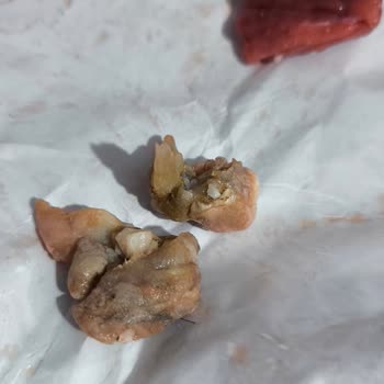 Bozuk Et Ve İlgisiz Hizmet