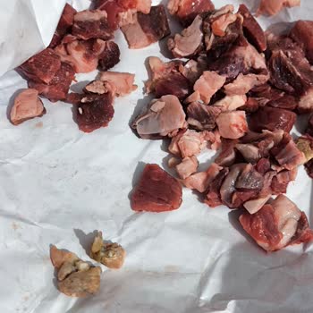 Bozuk Et Ve İlgisiz Hizmet