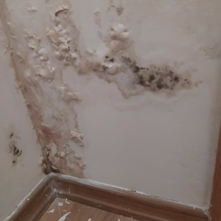 Sigorta Yetkilisine Ulaşamama Sorunu