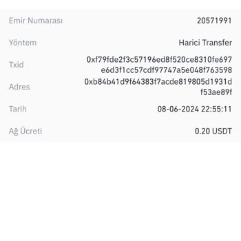 Binance TR to LBank USDT Transfer Delayed – Still Not in My Account