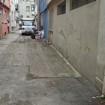 Çöplerin Toplanmaması Mahalleyi Çöplüğe Çevirdi