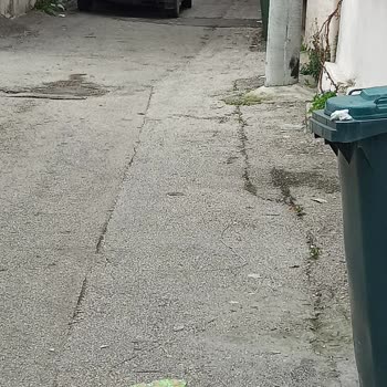 Çöplerin Toplanmaması Mahalleyi Çöplüğe Çevirdi