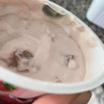 Taze Alınan Sek Quark Yoğurtta Küf Şoku