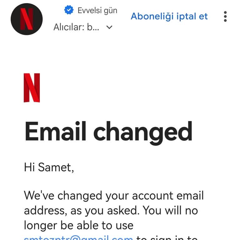 Netflix Hesap Erişim Sorunu