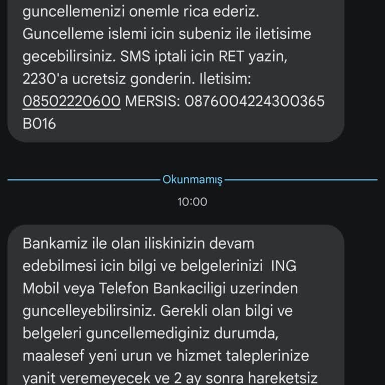 ING Hesap Güncelleme Çilesi: Sürekli Mesajlar Ve Çözüm Bulunamayan Sorunlar