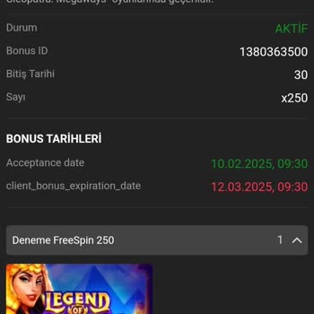 Kazancım Silindi Ve Bonus Hakkım Engellendi