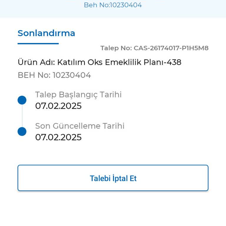 BES'ten Çıkışta Karşılaşılan Engeller