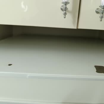 Buzdolabında Boya Sorunu Ve Müşteri Hizmetleri Deneyimi