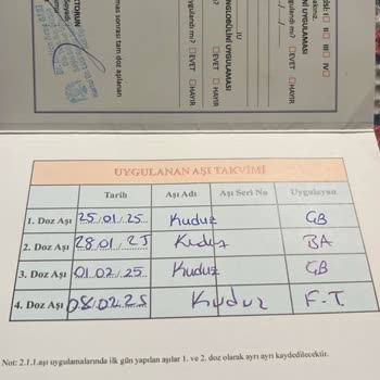 Tehlikeli Köpeklerin Toplanması İçin Acil Müdahale Talebi