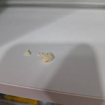 Peynirde Karşılaşılan Şok Edici Durum