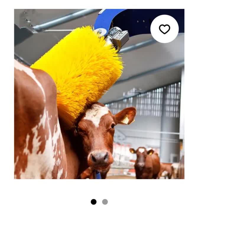 İade Edilmeyen Ücret Ve Gelmeyen Ürün Sorunu