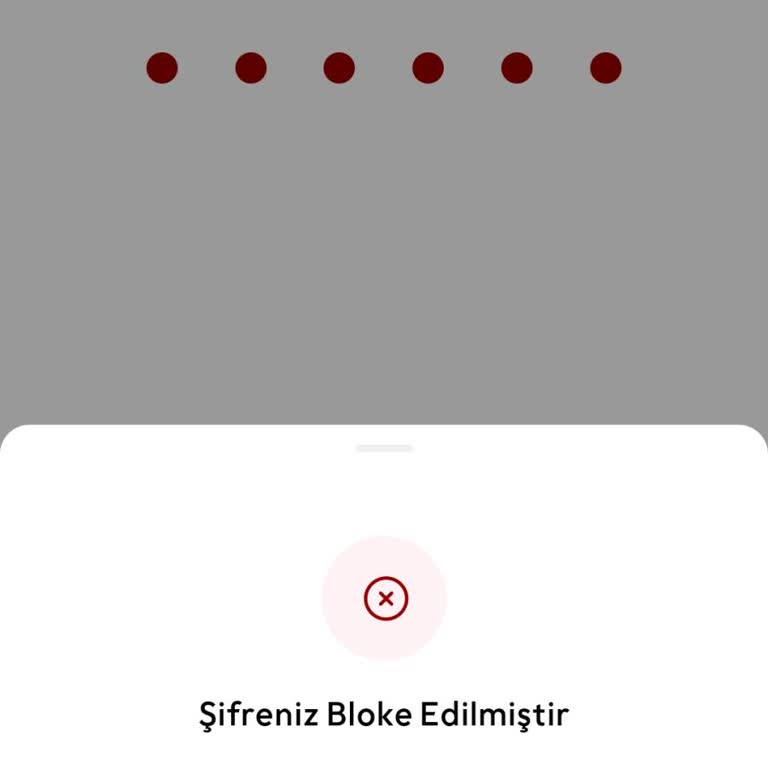 Param Uygulaması: Giriş Sorunları Ve Bloke Edilen Hesaplar