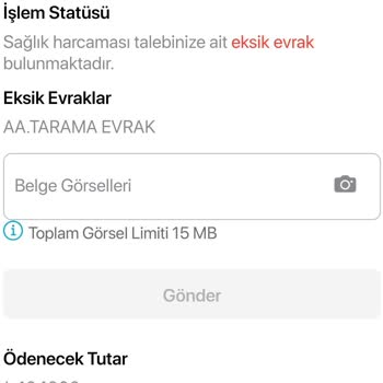 Eksik Evrak Gerekçesiyle Bekletilen Talep Ve Bilgi Eksikliği