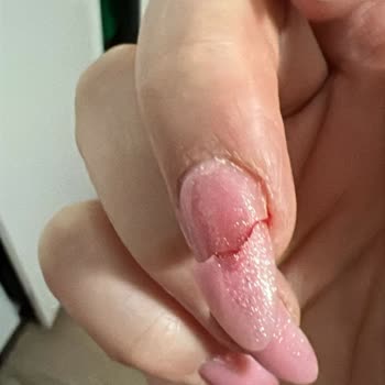 Amatör Hizmet Ve Kaba Davranışla Hayal Kırıklığı