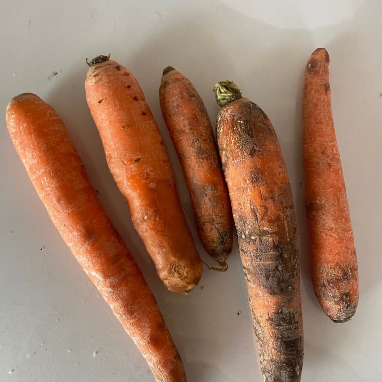 Bozuk Ürün Gönderimi: Havuç Skandalı