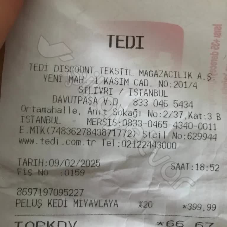 Tedi Mağaza Sorumlusunun Üslup Sorunu ve Oyuncak Kedi Değişimi