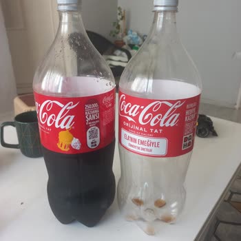 Coca-Cola Yıldızlı Kapak Kodları Hatalı Çıkıyor