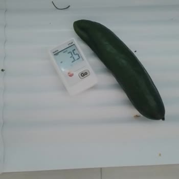 Vestel Buzdolabında Bitmeyen Arıza Sorunları