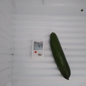 Vestel Buzdolabında Bitmeyen Arıza Sorunları