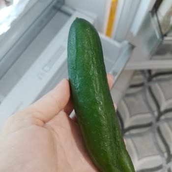 Vestel Buzdolabında Bitmeyen Arıza Sorunları