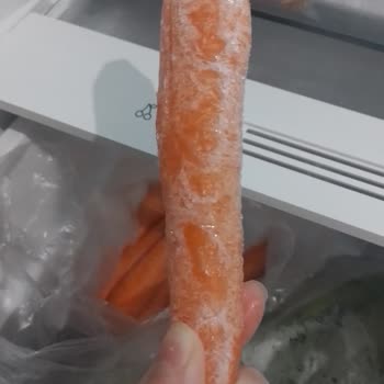 Vestel Buzdolabında Bitmeyen Arıza Sorunları