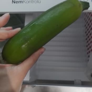 Vestel Buzdolabında Bitmeyen Arıza Sorunları