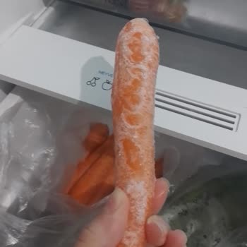 Vestel Buzdolabında Bitmeyen Arıza Sorunları