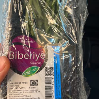 Taze Otların TETT Bilgisi Eksikliği Ve Küflenme Sorunu