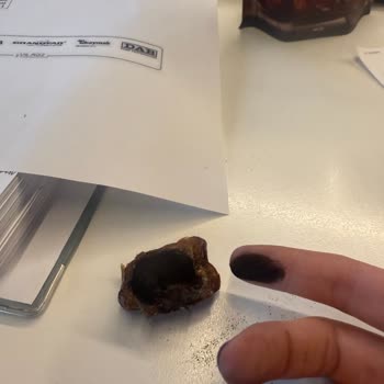 Tadım Hurma İle Hayal Kırıklığı