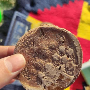 Ülker Halley Paketinde Sağlık Riski