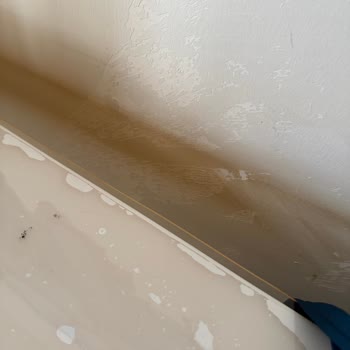 Hava Temizleyici Kullanımı Sonrası Salonun Sararması Ve İlgisizlik