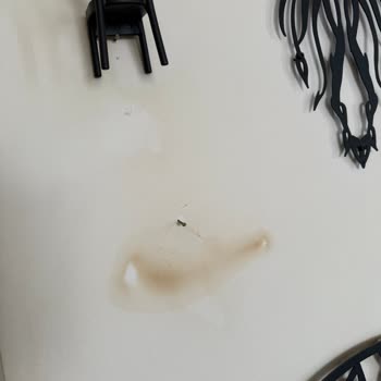 Hava Temizleyici Kullanımı Sonrası Salonun Sararması Ve İlgisizlik