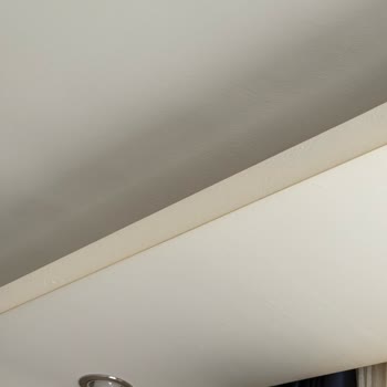 Hava Temizleyici Kullanımı Sonrası Salonun Sararması Ve İlgisizlik