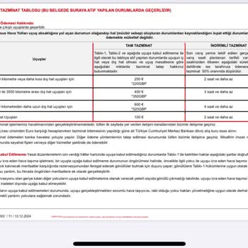 Uçuş Gecikmesi Ve Aksayan Transferler Nedeniyle Mağduriyet