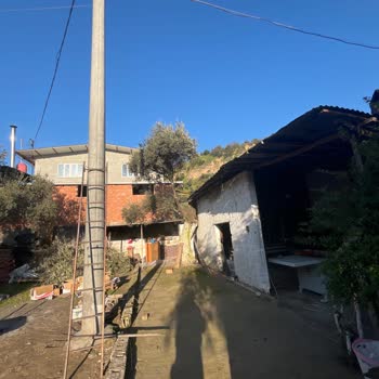 Tapulu Arazi İçindeki Direk Sorunu Ve Aydem'in İlgisizliği