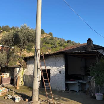 Tapulu Arazi İçindeki Direk Sorunu Ve Aydem'in İlgisizliği