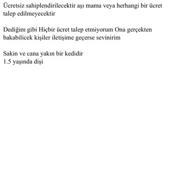 Sahibinden Evcil Hayvan İlanım Ücretsiz Olmasına Rağmen Reddediliyor
