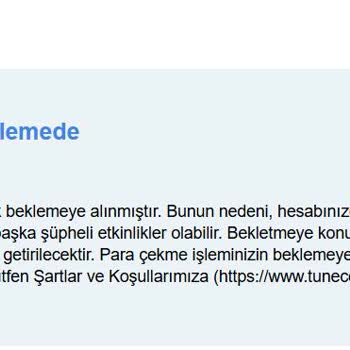 Tunecore'da Para Çekme Sorunu