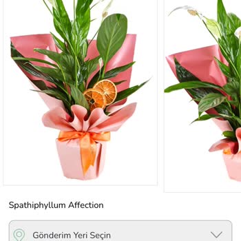 Özel Gün Hediyesinde Hayal Kırıklığı: Yanlış Çiçek Gönderimi