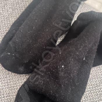 Profilo Çamaşır Makinesi Sorunu Ve Yetersiz Destek