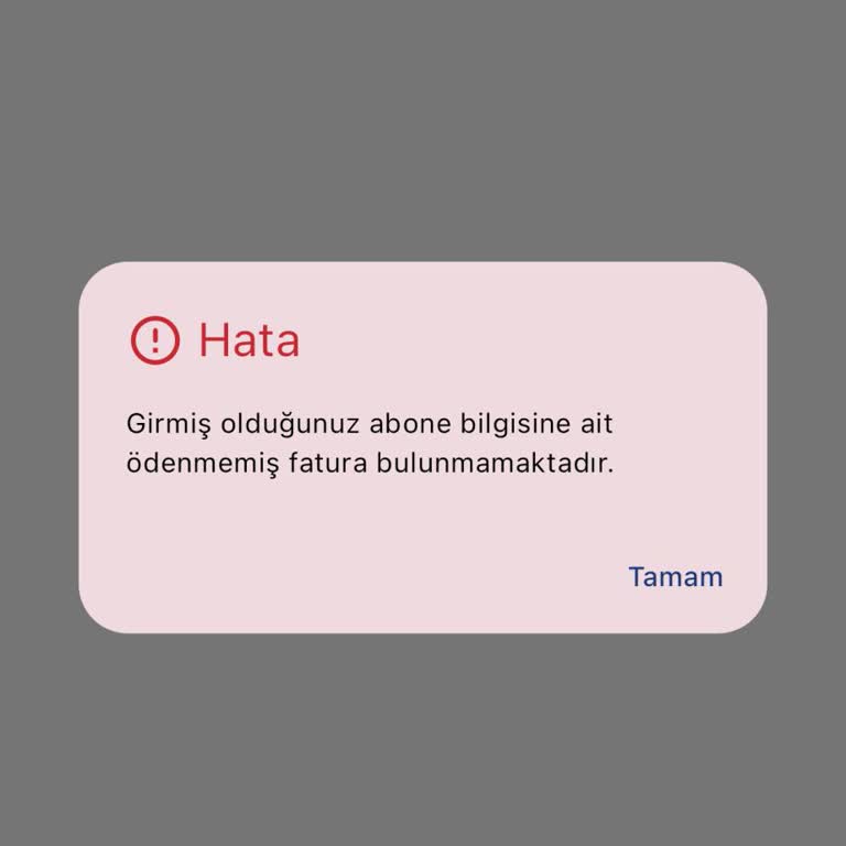 Elektrik Faturası Ödeme Sorunu Ve İlgisiz Müşteri Hizmetleri