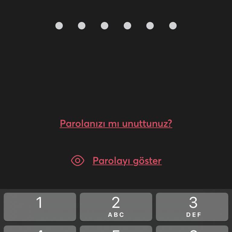 İninal Hesabına Erişim Sorunu Ve Para Transferi Mağduriyeti