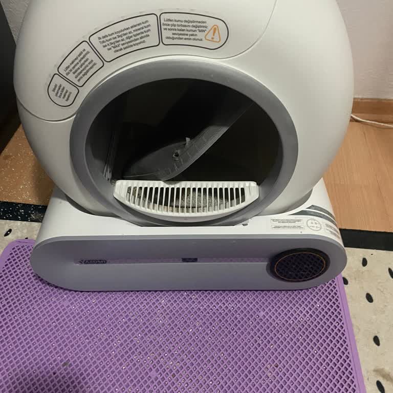 Kedi Tuvaletinde Güvenlik Ve Dayanıklılık Sorunu